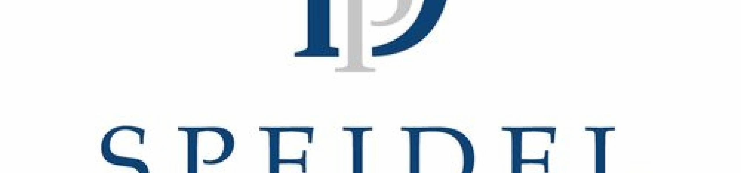 Dehmer und Partner - Speidel & Dehmer